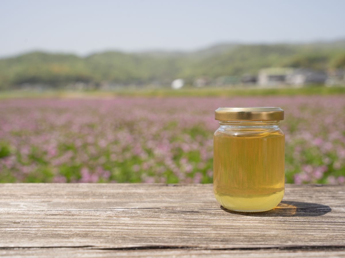 �ԕ�����菜���Ȃ�