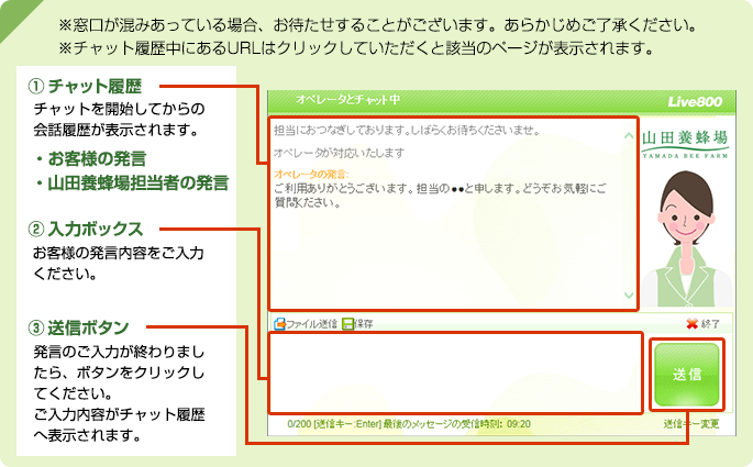 (1)チャット履歴:チャットを開始してからの会話履歴が表示されます。(2)入力ボックス:お客様の発言内容をご入力ください。(3)送信ボタン:発言のご入力が終わりましたら、ボタンをクリックしてください。ご入力内容がチャット履歴へ表示されます。