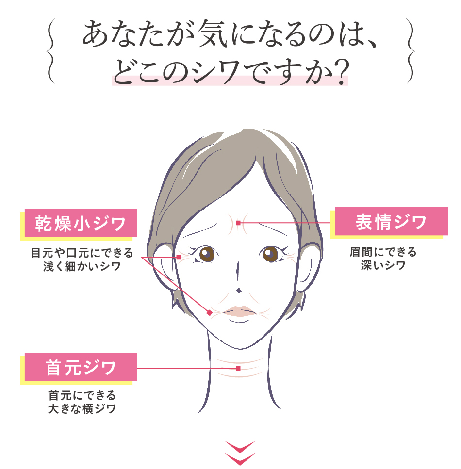 できる部分が違えば お手入れ方法も違う タイプ別シワのお手入れ術 化粧品 コスメの通販 販売 山田養蜂場 できる部分が違えば お手入れ方法も違う タイプ別シワのお手入れ術 化粧品 コスメの通販 販売 山田養蜂場