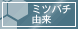 ミツバチ由来
