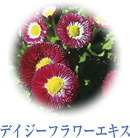 fCW[t[GLX