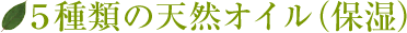Tނ̓VRICiێj