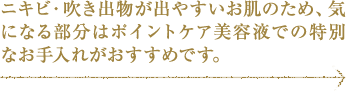 jLrEoo₷̂߁ACɂȂ镔̓|CgPAetł̓ʂȂꂪ߂łB