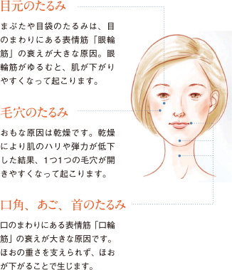 肌老化に負けない 美肌 対策講座 第4回 化粧品 コスメの通販 販売 山田養蜂場