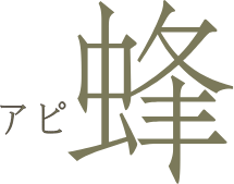 蜂(アピ)