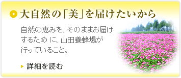 �厩�R�́u���v��͂���������F���R�̌b�݂��A���̂܂܂��͂����邽�� �ɁA�R�c�{�I�ꂪ�s���Ă��邱�ƁB�ڍׂ�ǂ�