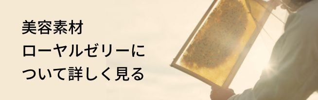 [[[ɂďڂm