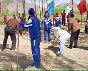 Tree Planting in China