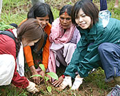 Planting in Nepal
