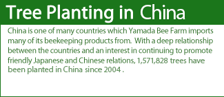 China is one of many countries which Yamada Bee Farm imports many of its beekeeping products from.  With a deep relationship between the countries and an interest in continuing to promote friendly Japanese ? Chinese relations, 1,571,828 trees have been planted in China since 2004.