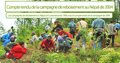 Compte rendu de la campagne de reboisement au Népal de 2004.  Les campagnes de reboisement au Népal ont commencé en 1999, voici le compte rendu de la campagne de 2004.