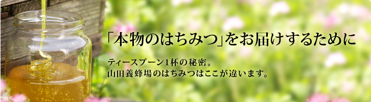 「本物のはちみつ」をお届けするためにティースプーン1杯の秘密。山田養蜂場のはちみつはここが違います。