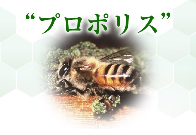“プロポリス”