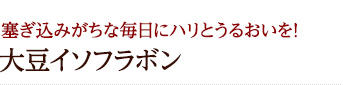 塞ぎ込みがちな毎日にハリとうるおいを!大豆イソフラボン