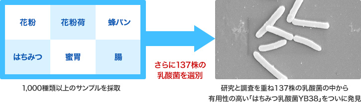 (1)1,000ވȏ̃Tv̎A(2)137̓_ۂIʁA(3)ƒd137̓_ۂ̒Lp̍u݂͂_YB38vɔ