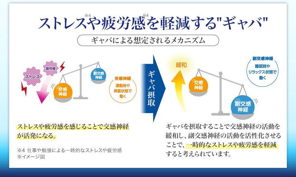 ストレスや疲労感を軽減する"ギャバ"