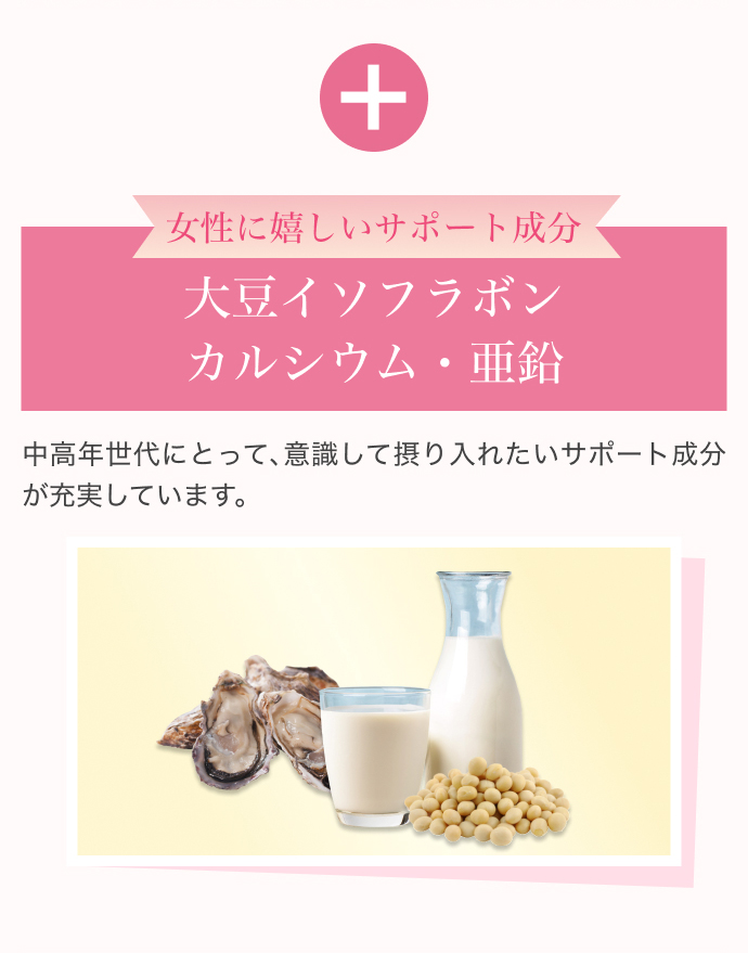 �����Ɋ������T�|�[�g���� �哤�C�\�t���{���J���V�E���E���� �����N����ɂƂ��āA�ӎ����Đۂ���ꂽ���T�|�[�g�������[�����Ă��܂��B