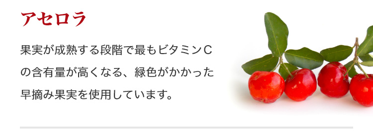 アセロラ:果実が成熟する段階で最もビタミンCの含有量が高くなる、緑色がかかった早摘み果実を使用しています。
