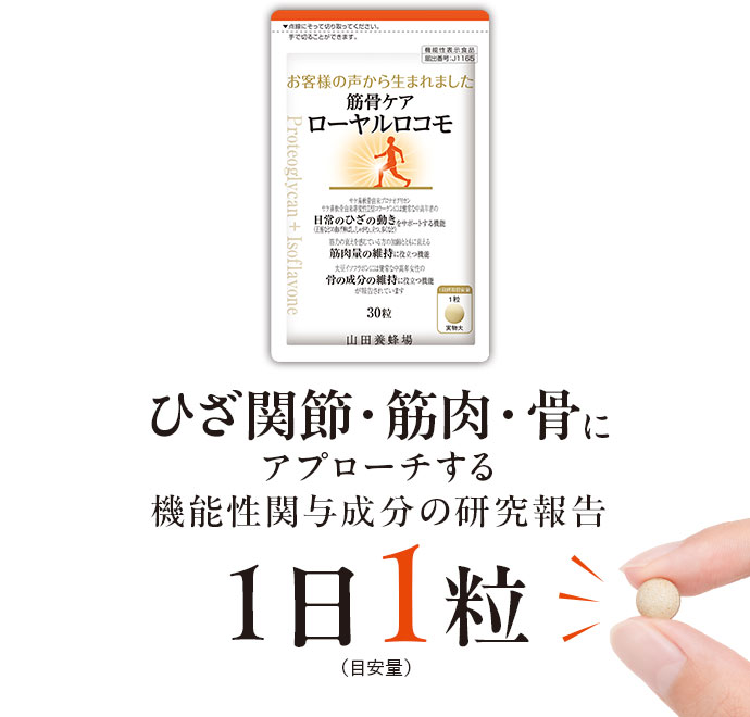 ひざ関節・筋肉・骨にアプローチする機能性関与成分の研究報告 1日1粒(目安量)