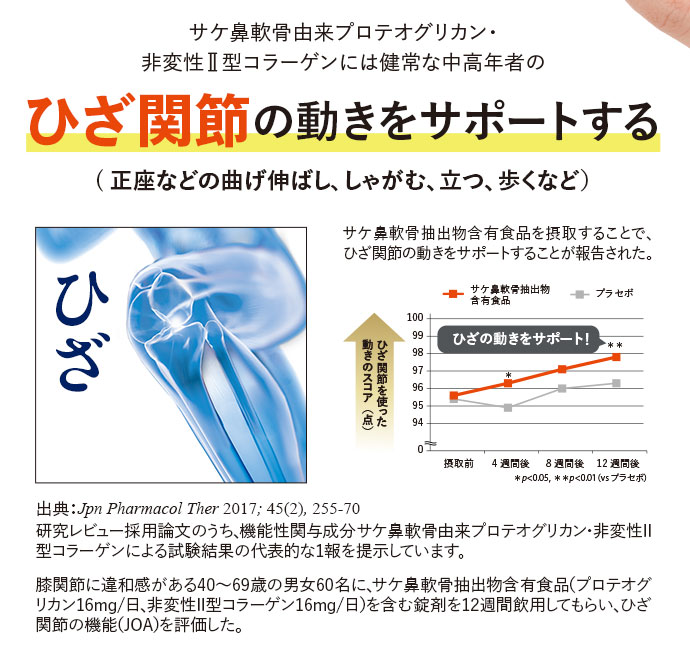 サケ鼻軟骨由来プロテオグリカン・非変性II型コラーゲンには健常な中高年者のひざ関節の動きをサポートする(正座などの曲げ伸ばし、しゃがむ、立つ、歩くなど) サケ鼻軟骨抽出物含有食品を摂取することで、ひざ関節の動きをサポートすることが報告された。 出典:Jpn Pharmacol Ther 2017; 45 (2), 255-70 研究レビュー採用論文のうち、機能性関与成分サケ鼻軟骨由来プロテオグリカン・非変性II型コラーゲンによる試験結果の代表的な1報を提示しています。 膝関節に違和感がある40~69歳の男女60名に、サケ鼻軟骨抽出物含有食品(プロテオグ リカン16mg/日、非変性II型コラーゲン16mg/日)を含む錠剤を12週間飲用してもらい、ひざ関節の機能(JOA)を評価した。