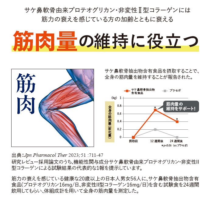 サケ鼻軟骨由来プロテオグリカン・非変性II型コラーゲンには筋力の衰えを感じている方の加齢とともに衰える筋肉量の維持に役立つ サケ鼻軟骨抽出物含有食品を摂取することで、全身の筋肉量を維持することが報告された。 出典: Jpn Pharmacol Ther 2023;51 :711-47 研究レビュー採用論文のうち、機能性関与成分サケ鼻軟骨由来プロテオグリカン・非変性II型コラーゲンによる試験結果の代表的な1報を提示しています。 筋力の衰えを感じている健康な20歳以上の日本人男女56人に、サケ鼻軟骨抽出物含有食品(プロテオグリカン16mg/日、非変性II型コラーゲン16mg/日)を含む試験食を24週間飲用してもらい、体組成計を用いて全身の筋肉量を測定した。