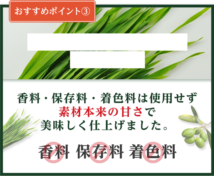 おすすめポイントB 香料・保存料・着色料は使用せず素材本来の甘さで美味しく仕上げました。香料、保存料、着色料不使用