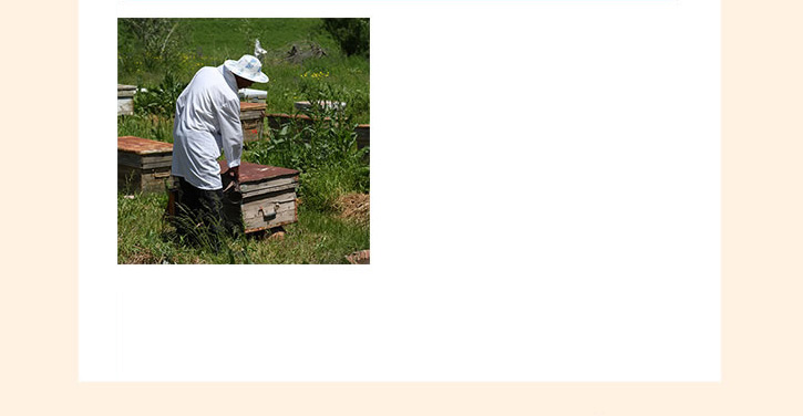 巣箱を点検する養蜂家の画像
