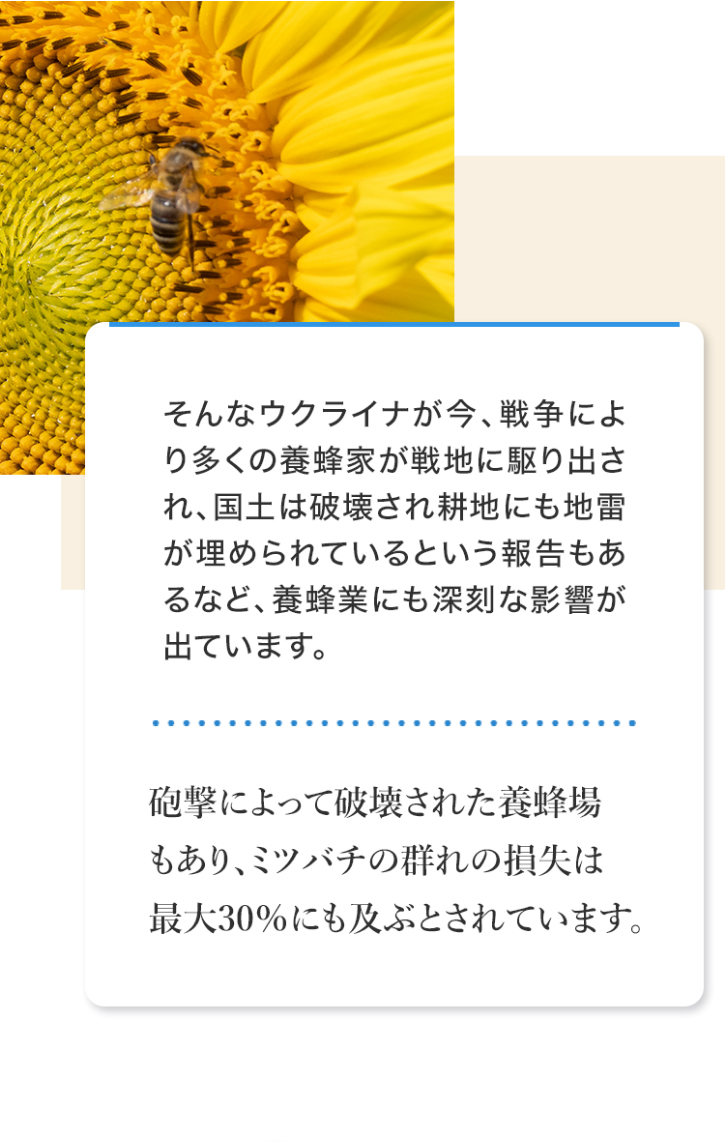 ȃENCiA푈ɂ葽̗{IƂnɋoAy͔j󂳂knɂn߂ĂƂ񍐂ȂǁA{IƂɂ[ȉeoĂ܂BCɂĔj󂳂ꂽ{IA~co`̌Q͍̑ő30%ɂyԂƂĂ܂B