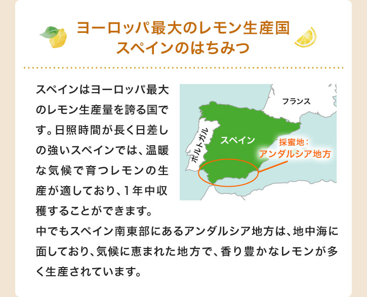 ヨーロッパ最大のレモン生産国スペインのはちみつ スペインはヨーロッパ最大のレモン生産量を誇る国です。日照時間が長く日差しの強いスペインでは、温暖な気候で育つレモンの生産が適しており、1年中収穫することができます。中でもスペイン南東部にあるアンダルシア地方は、地中海に面しており、気候に恵まれた地方で、香り豊かなレモンが多く生産されています。