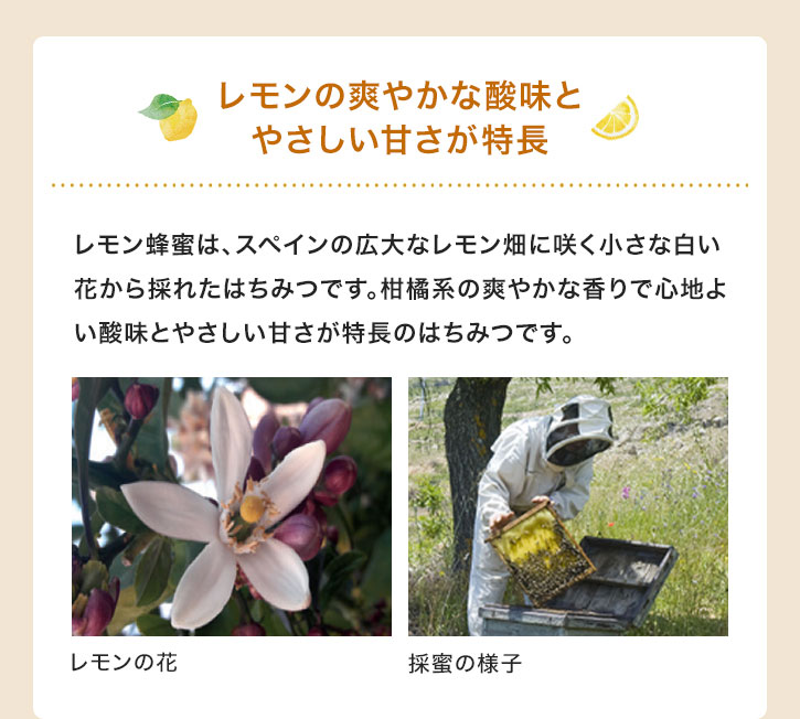 レモンの爽やかな酸味とやさしい甘さが特長 レモン蜂蜜は、スペインの広大なレモン畑に咲く小さな白い花から採れたはちみつです。柑橘系の爽やかな香りで心地よい酸味とやさしい甘さが特長のはちみつです。