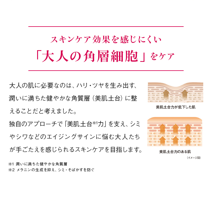 スキンケア効果を感じにくい「大人の角層細胞」をケア 大人の肌に必要なのは、ハリ・ツヤを生み出す、潤いに満ちた健やかな角質層(美肌土台)に整えることだと考えました。独自のアプローチで「美肌土台※1力」を支え、シミやシワなどのエイジングサインに悩む大人たちが手ごたえを感じられるスキンケアを目指します。 ※1 潤いに満ちた健やかな角質層 ※2 メラニンの生成を抑え、シミ・そばかすを防ぐ