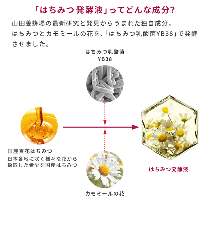 「はちみつ発酵液」ってどんな成分? 山田養蜂場の最新研究と発見から生まれた独自成分。はちみつとカモミールの花を、「はちみつ乳酸菌YB38」で発酵させました。 国産百花はちみつ(日本各地に咲く様々な花から採取した希少な国産はちみつ) + はちみつ乳酸菌YB38 カモミールの花 → はちみつ発酵液