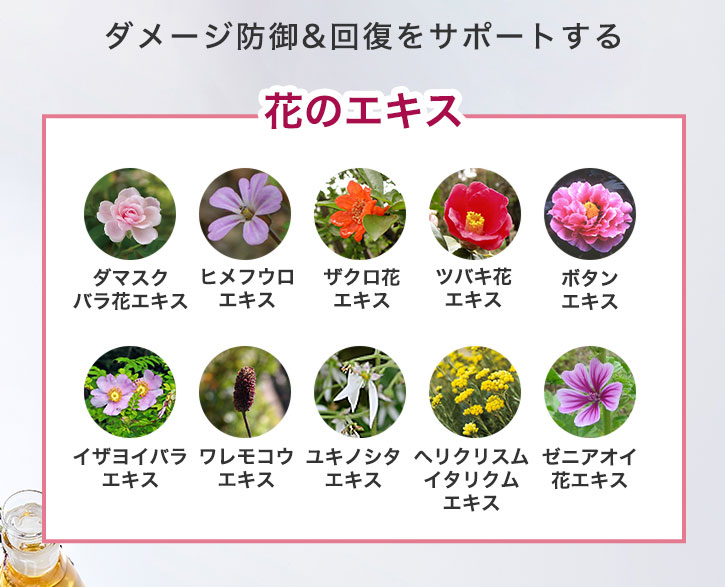 ダメージ防御&回復をサポートする花のエキス ダマスクバラ花エキス ヒメフウロエキス ザクロ花エキス ツバキ花エキス ボタンエキス イザヨイバラエキス ワレモコウエキス ユキノシタエキス ヘリクリスムイタリクムエキス ゼニアオイ花エキス