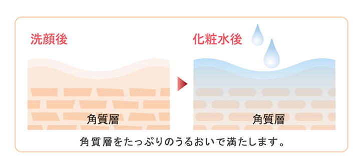 洗顔後 化粧水後 角質層をたっぷりのうるおいで満たします。