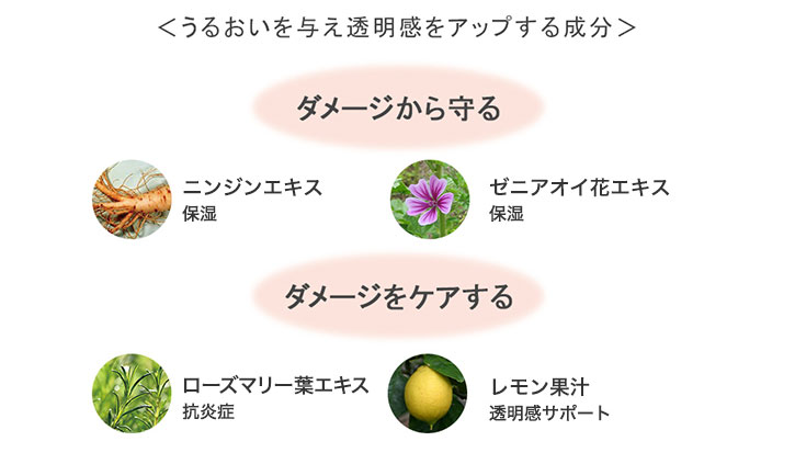 <うるおいを与え透明感をアップする成分> ダメージから守る:ニンジンエキス(保湿) ゼニアオイ花エキス(保湿) ダメージをケアする:ローズマリー葉エキス(抗炎症) レモン果汁(透明感サポート)