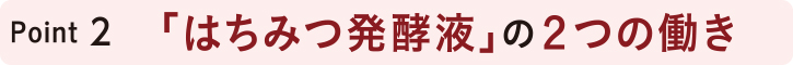 POINT2 はちみつ発酵液の2つの働き