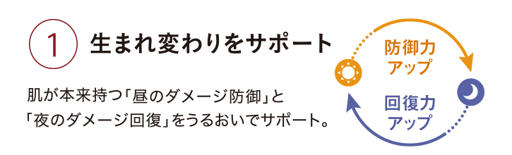 @生まれ変わりをサポート:肌が本来持つ「昼のダメージ防御」と「夜のダメージ回復」をうるおいでサポート。昼:防御力アップ、夜:回復力アップ