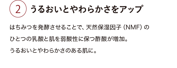 Aうるおいとやわらかさをアップ:はちみつを発酵させることで、天然保湿因子(NMF)のひとつの乳酸と肌を弱酸性に保つ酢酸が増加。うるおいとやわらかさのある肌に。