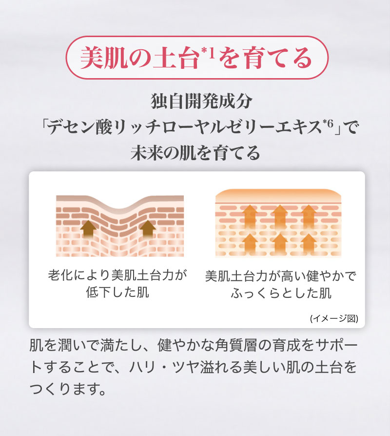 �����̓y��*1����Ă� �Ǝ��J�������u�f�Z���_���b�`���[�����[���[�G�L�X*6�v�Ŗ����̔�����Ă� ���������Ŗ������A���₩�Ȋp���w�̈琬���T�|�[�g���邱�ƂŁA�n���E�c��������������̓y�������܂��B