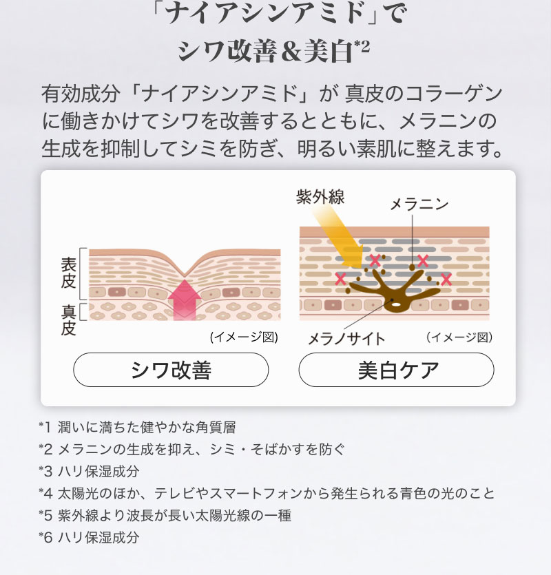 �u�i�C�A�V���A�~�h�v�ŃV�����P&����*2 �L�������u�i�C�A�V���A�~�h�v���^��̃R���[�Q���ɓ��������ăV�������P����ƂƂ��ɁA�����j���̐�����}�����ăV�~��h���A���邢�f���ɐ����܂��B *1 �����ɖ��������₩�Ȋp���w *2 �����j���̐�����}���A�V�~�E���΂�����h�� *3 �n���ێ����� *4 ���z���̂ق��A�e���r��X�}�[�g�t�H�����甭������F�̌��̂��� *5 ���O�����g�����������z�����̈�� *6 �n���ێ�����