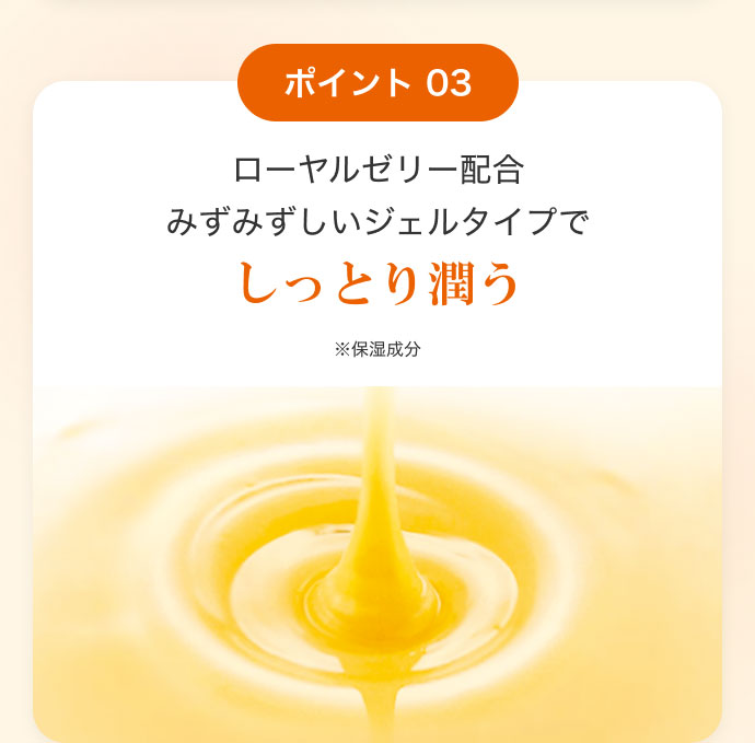 |Cg 03 [[[z݂݂WF^CvłƂ菁 ێ