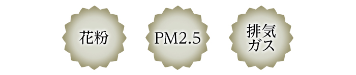花粉 PM2.5 排気ガス