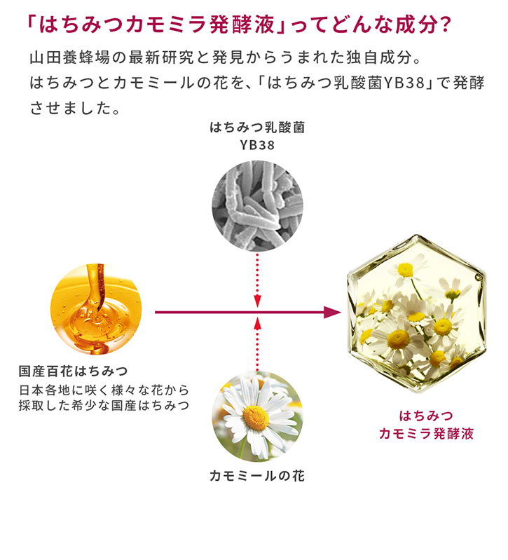 「はちみつカモミラ発酵液」ってどんな成分？ 山田養蜂場の最新研究と発見から生まれた独自成分。はちみつとカモミールの花を、「はちみつ乳酸菌YB38」で発酵させました。 国産百花はちみつ（日本各地に咲く様々な花から採取した希少な国産はちみつ） + はちみつ乳酸菌YB38 カモミールの花 → はちみつカモミラ発酵液