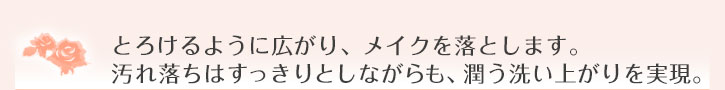 とろけるように広がり、メイクを落とします。汚れ落ちはすっきりとしながらも、潤う洗い上がりを実現。