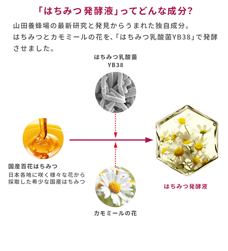 「はちみつ発酵液」ってどんな成分？ 山田養蜂場の最新研究と発見から生まれた独自成分。はちみつとカモミールの花を、「はちみつ乳酸菌YB38」で発酵させました。 国産百花はちみつ（日本各地に咲く様々な花から採取した希少な国産はちみつ） + はちみつ乳酸菌YB38 カモミールの花 → はちみつ発酵液