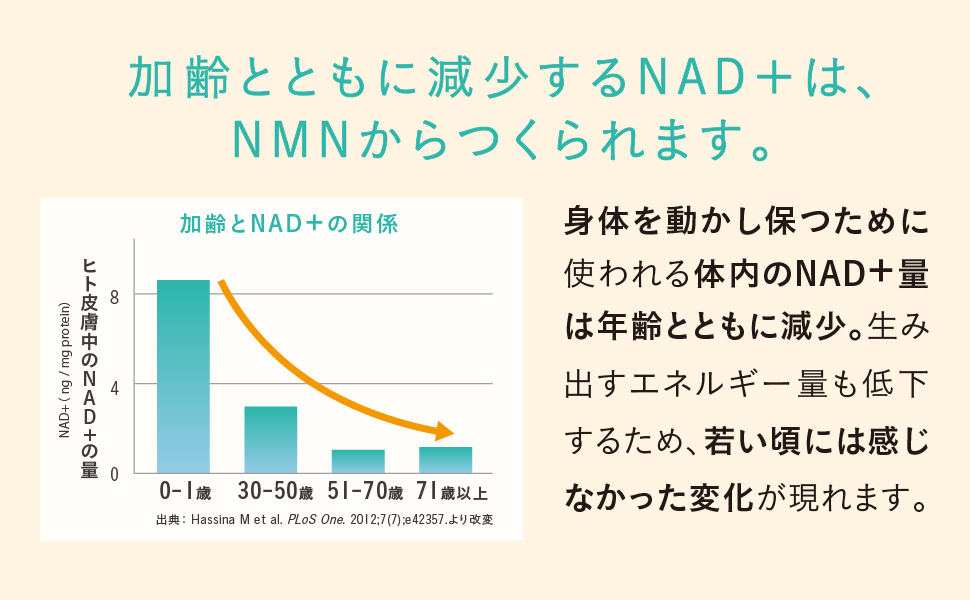 ƂƂɌNAD+NMN܂Bĝ𓮂ۂ߂Ɏg̓NAD+ʂ͔NƂƂɌBݏoGlM[ʂቺ邽߁AႢɂ͊Ȃω܂B