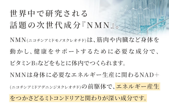 世界中で研究される 話題の次世代成分「NMN」。NMN(ニコチンアミドモノヌクレオチド)は筋肉や内臓など身体を動かし、健康をサポートするために必要な成分で、ビタミンB3などをもとに体内でつくられます。NMN身体に必要なエネルギー生産に関わるNAD+(ニコチンアミドアデニンジヌクレオチド)の前駆体で、エネルギー産生をつかさどるミトコンドリアと関わりが深い成分です。