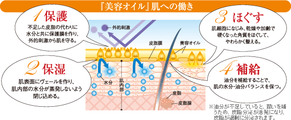 「美容オイル」肌への働き