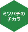 ~co`̃`J