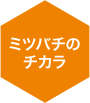 ~co`̃`J